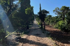 Lokrum Island