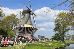 Windmill at Keukenhof Gardens