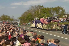 Tulip Parade