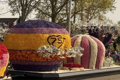 Tulip Parade