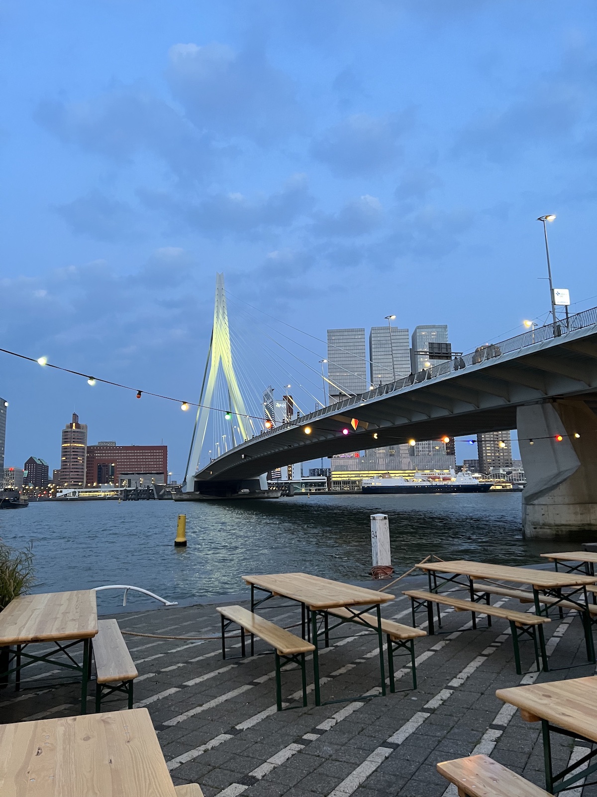 Erasmus Bridge at night, Rotterdam