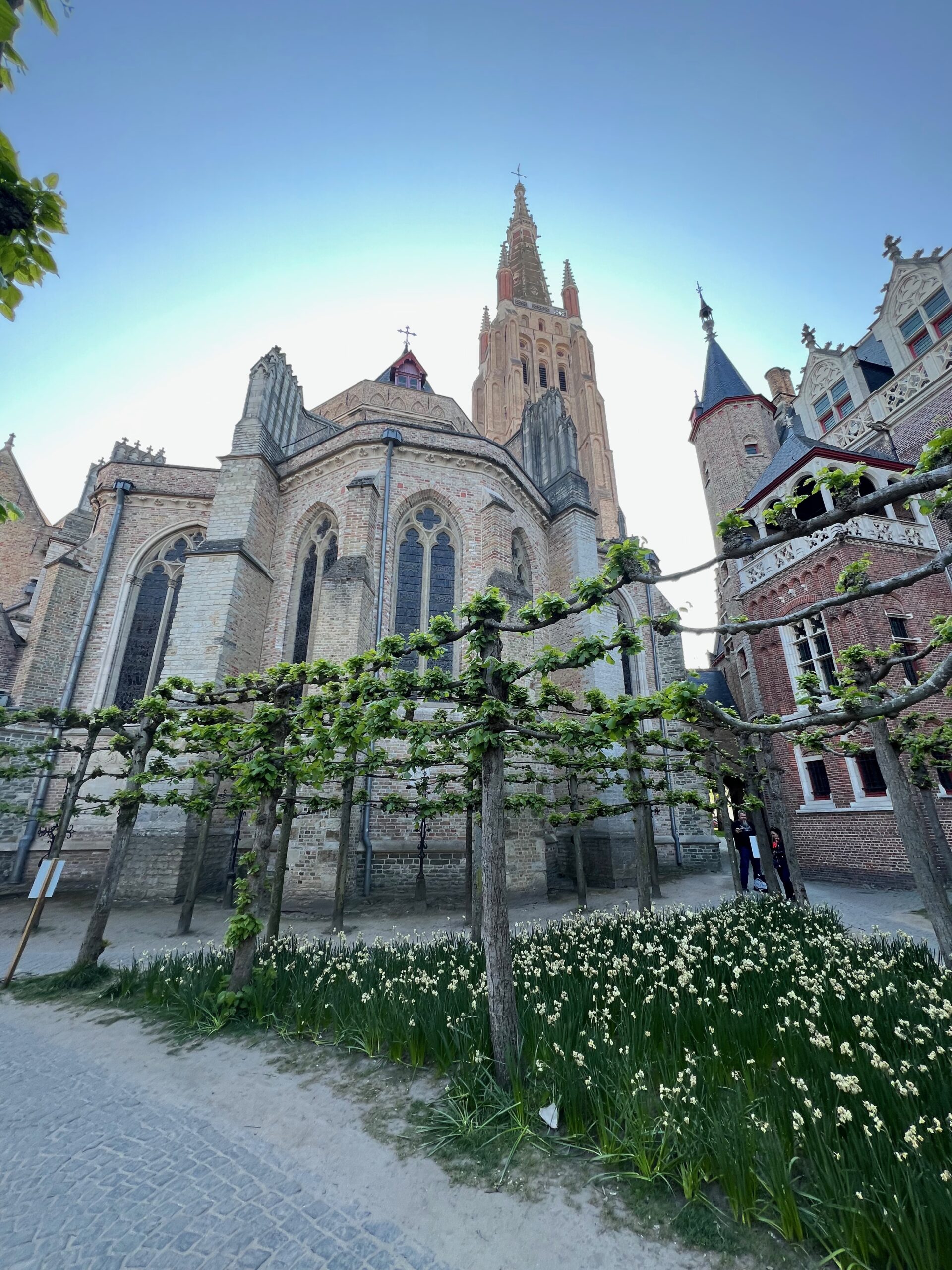 Our Lady of Bruges Cathedral