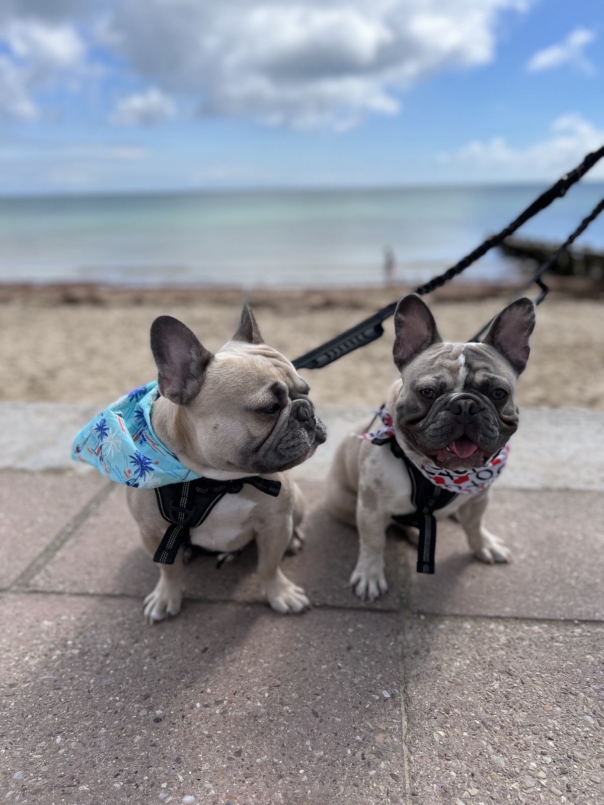 The boys at Bournemouth beach