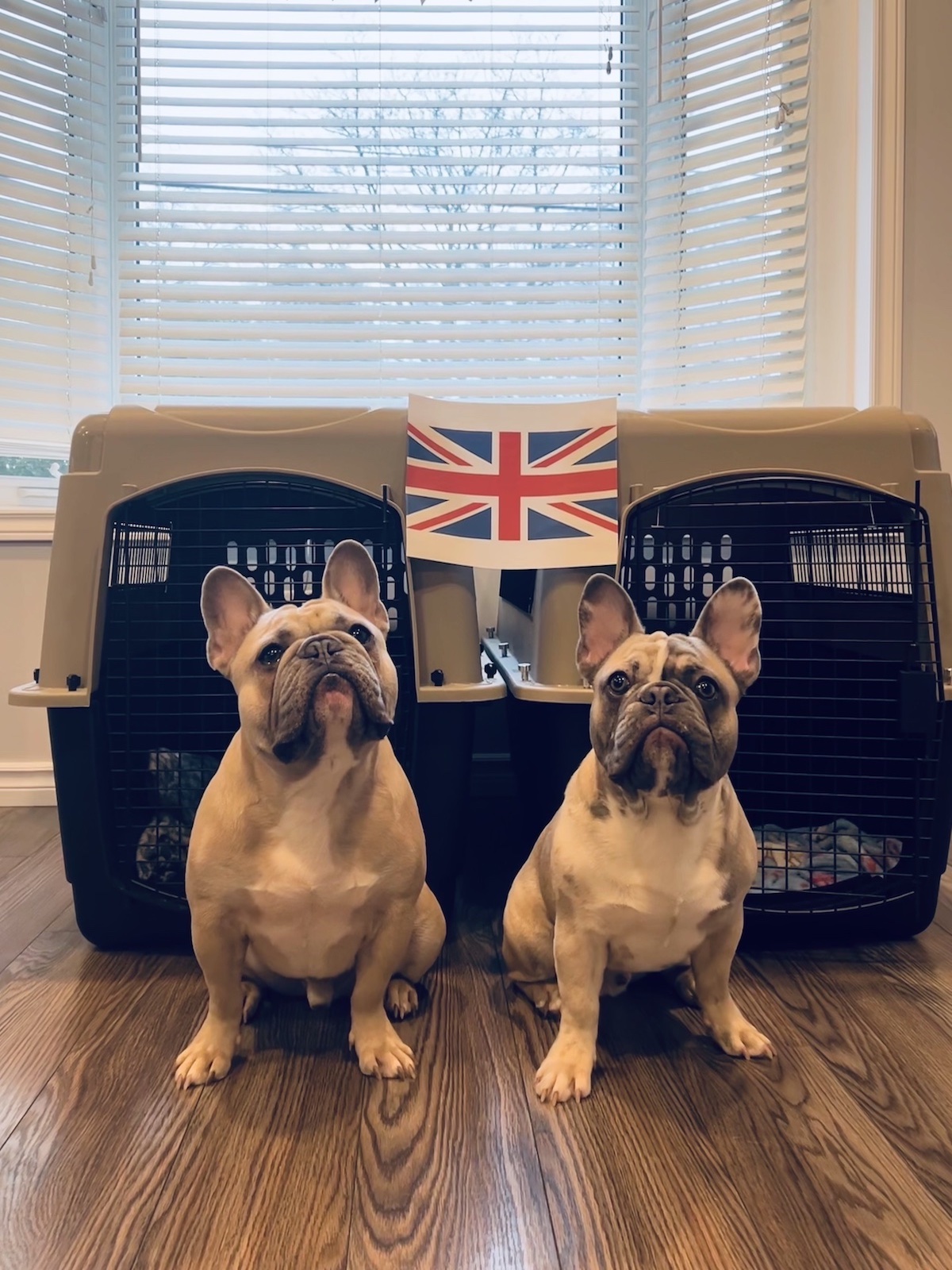 Chevy & Sterling ready for the U.K.