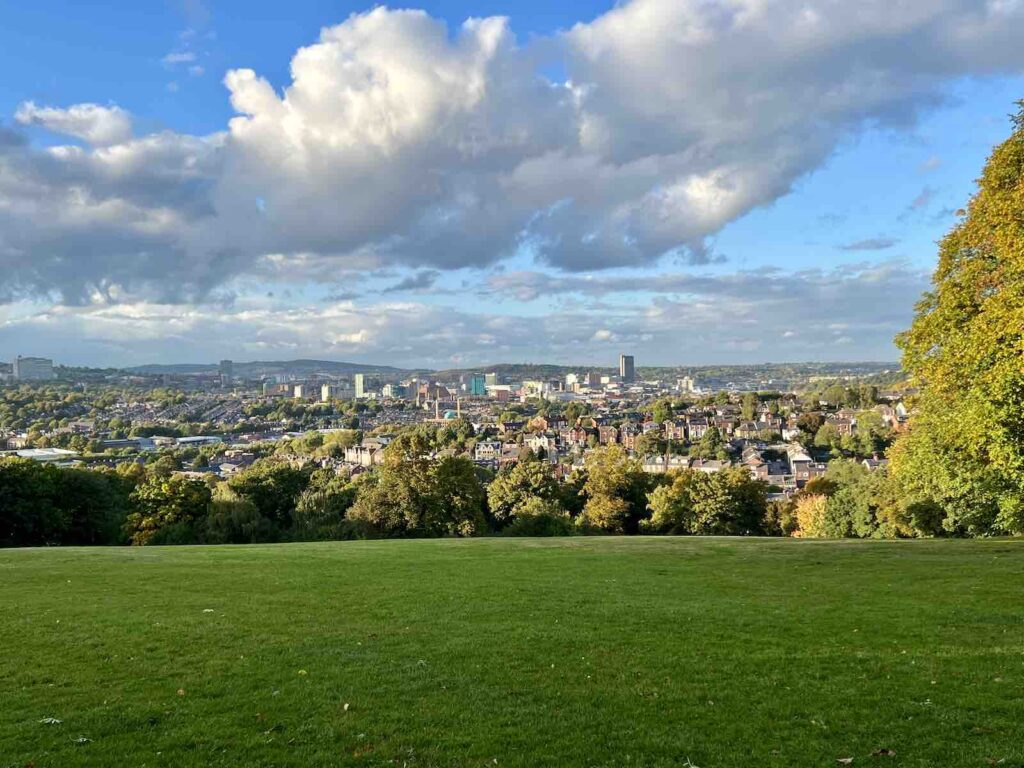 View of Sheffield City Center from Meerstrook Park