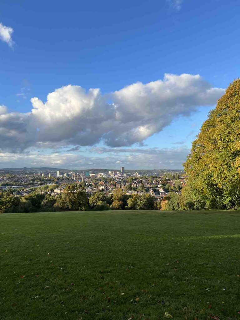 View of Sheffield, UK from Meersbrook Park